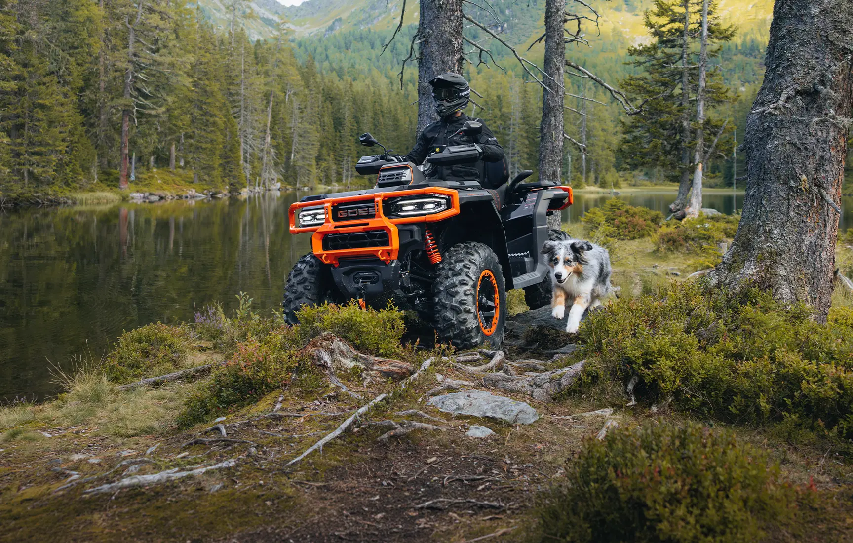 Terrox 1000 — Control Ergonómico Optimizado